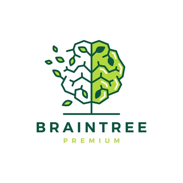 Hersenen Boom Slimme Natuurlijke Blad Logo Vector Pictogram Illustratie — Stockvector