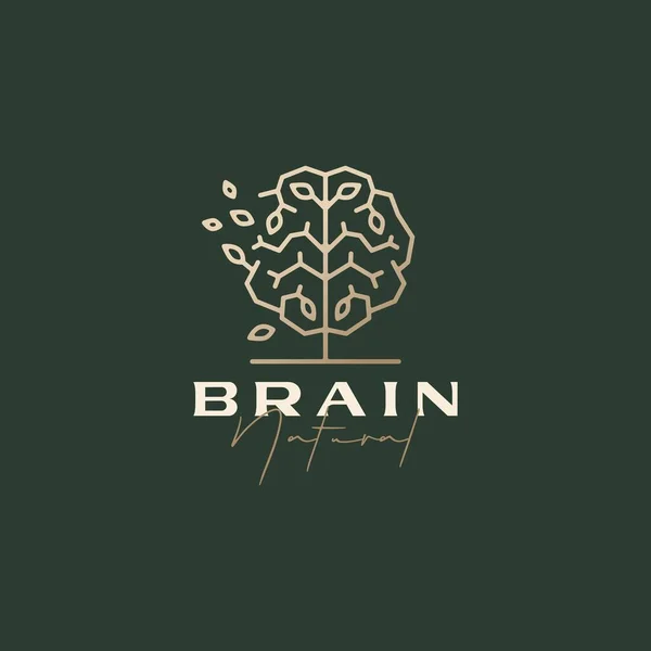 Мозок Дерево Розумний Природний Лист Складний Естетичний Логотип Векторні Ілюстрації — стоковий вектор