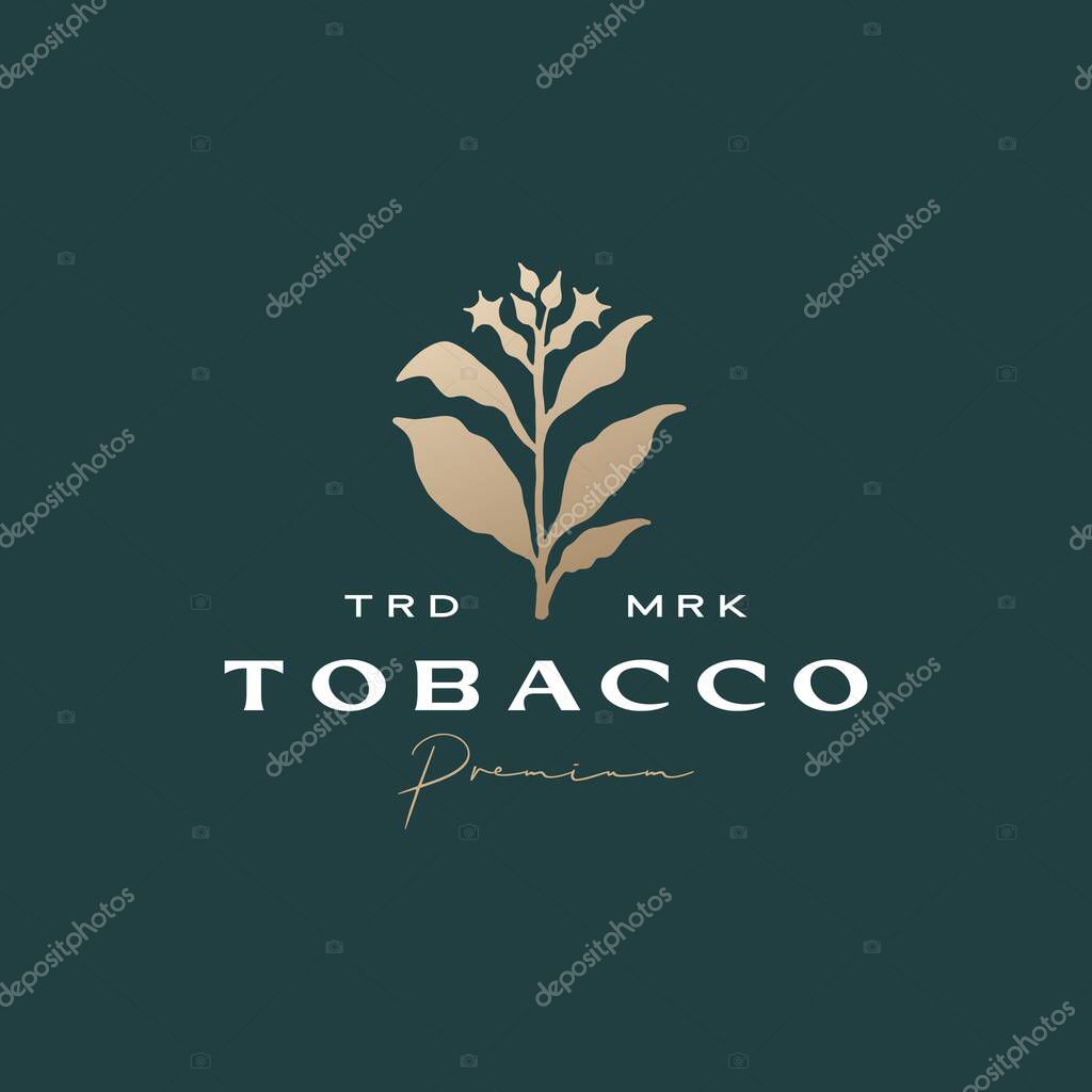 Tobacco tree flower cigarette logo vector icon illustration