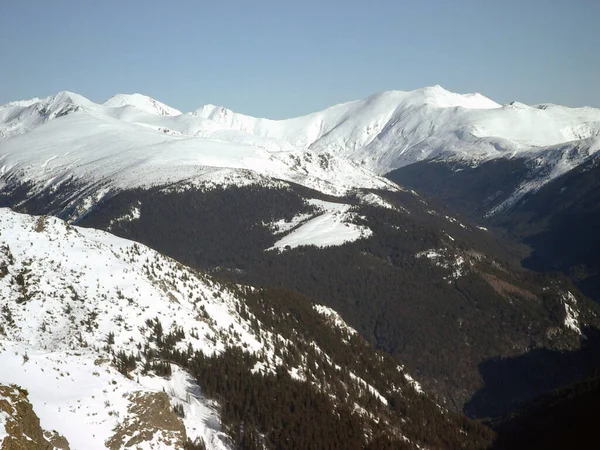Χειμώνας Και Χιόνι Τοπίο Godeanu Βουνά Charpatians Βουνά Στη Ρουμανία — Φωτογραφία Αρχείου
