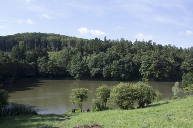 Göl ile yeşil orman