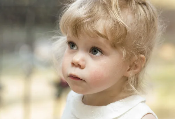 見上げる 2 歳の小さな女の子. — ストック写真