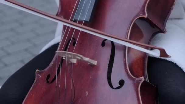 男人的特写在黑暗中演奏大提琴 乐器大提琴 男人的手弹奏乐器 — 图库视频影像