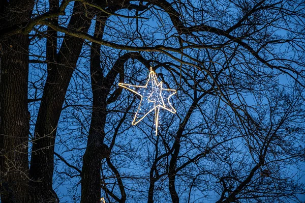 Christmas Decoration Tree Glowing Lamp Form Star — Stock Photo, Image