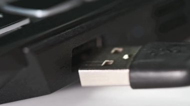 Yakın plan - USB kablo ve bağlantı. El, USB kablosunu laptopa yerleştirir..