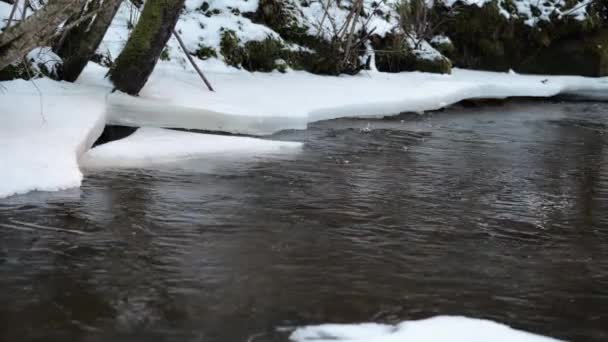 Лісова Річка Кінці Зими Лід Тане Річці Навесні Зимовий Пейзаж — стокове відео
