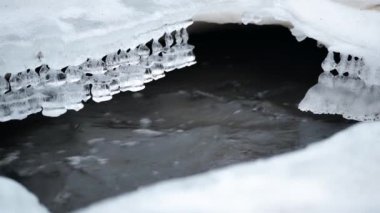 Kışın orman nehrinin kıyısındaki derenin üzerinde tuhaf sarkıtlar asılı durur..