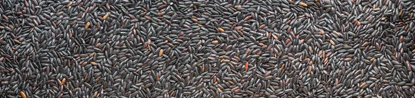 Black Rice Texture Panoramic Background Top View Close Black Glutinous — Stock Photo, Image