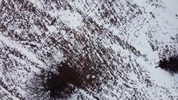 Schneebedecktes Feld Winter Abstrakte Zeichnungen Ackerland Aus Der Luft — Stockvideo