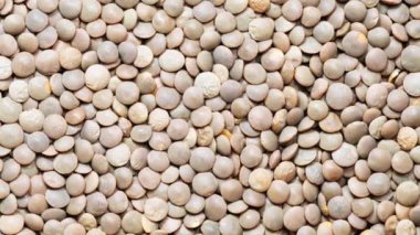 Kabuklu kırmızı mercimek, kuru fasulye. Kırmızı mercimek tohumları soyut arkaplan. kaydırma hareketi