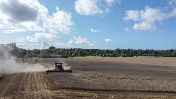 Luchtfoto Van Oogsten Landbouw Gecombineerde Oogstoogst Tarwe — Stockfoto