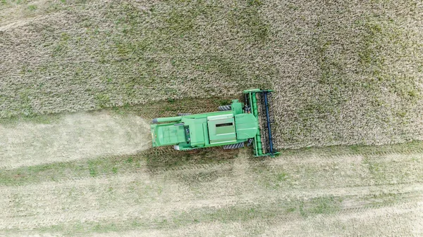 Groene Maaidorser Oogst Gerst Het Veld Zomer Luchtfoto Oogsttijd — Stockfoto