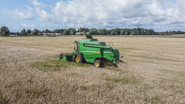 Combinar Cosechadora Cosecha Grano Campo Verano Vista Aérea Cosecha — Foto de Stock