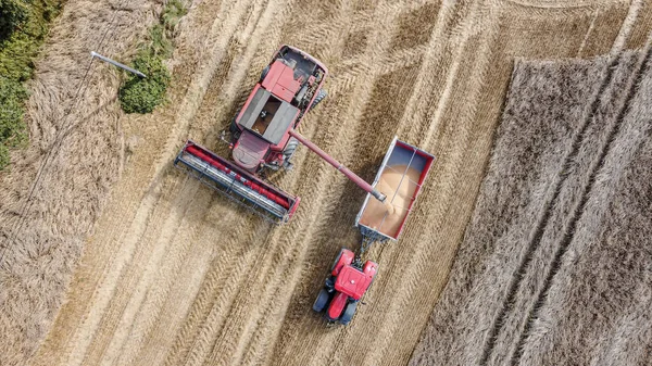 Red Combineer Laat Tarwekorrel Trekker Trailer Vallen Luchtfoto Van Oogst — Stockfoto