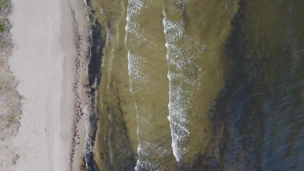 沙滩上的头像 波罗的海的黑暗水域 波浪缓慢 — 图库视频影像