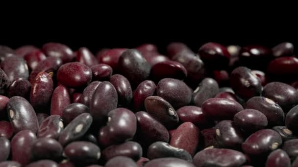 黒の背景に赤い豆の種のクローズアップ スライダーの動き赤い豆の抽象的な — ストック動画
