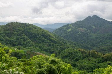 Ormanla kaplı tepeleri ve bulutlu gökyüzü olan güzel bir dağ manzarası..