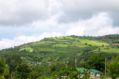 Ormanla kaplı tepeleri ve bulutlu gökyüzü olan güzel bir dağ manzarası..