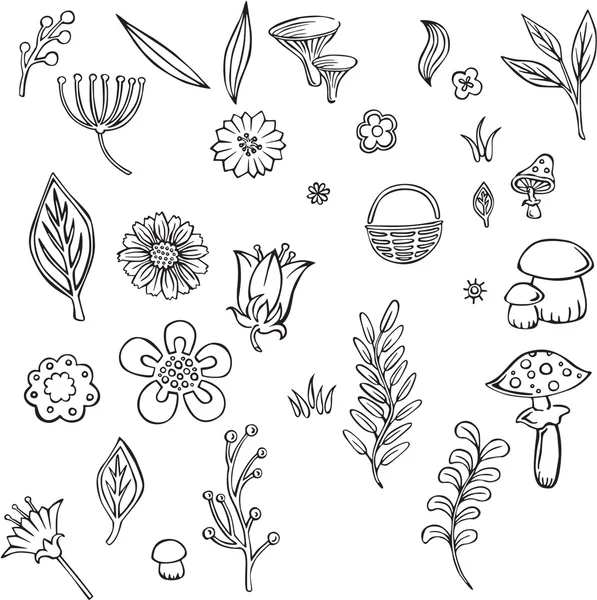 Vektorillustration verschiedener Blumen — Stockvektor