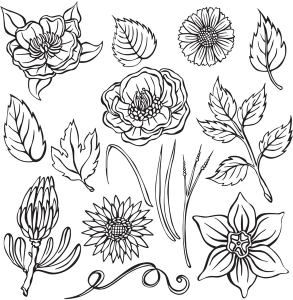Ilustración vectorial de diferentes flores — Vector de stock