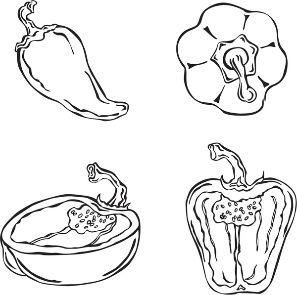 Illustrazione vettoriale del pepe — Vettoriale Stock