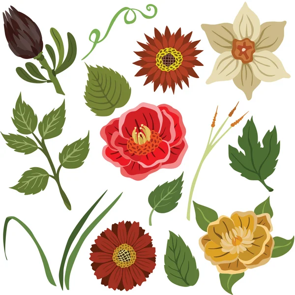 Ilustración vectorial de diferentes flores — Vector de stock