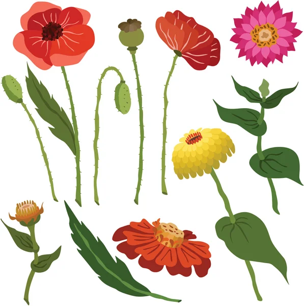 Vektorillustration verschiedener Blumen — Stockvektor