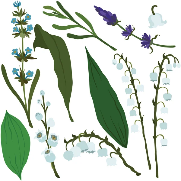 Vektor illustration av olika blommor — Stock vektor