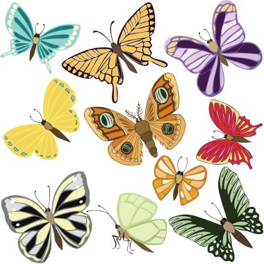 Vektör çizim çeşitli kelebekler