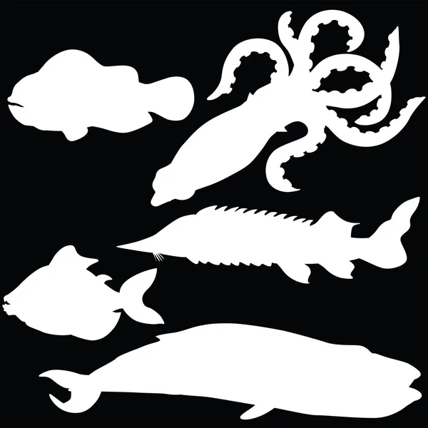 Διάνυσμα σιλουέτα του διαφορετικά ψάρια — Διανυσματικό Αρχείο