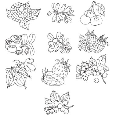 Vektör çizim çilek