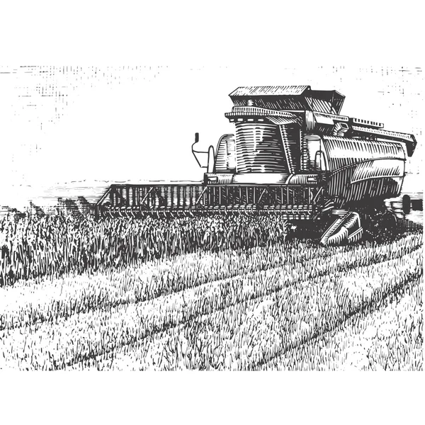 Vektör çizim hasat ile