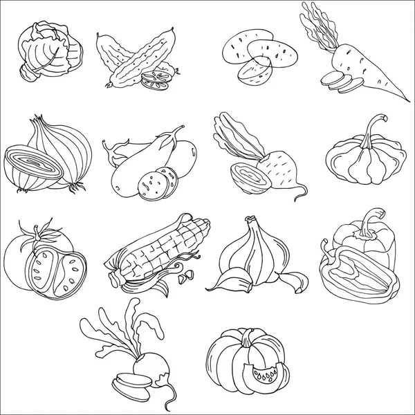 Vector illustration of vegetables — Stock Vector