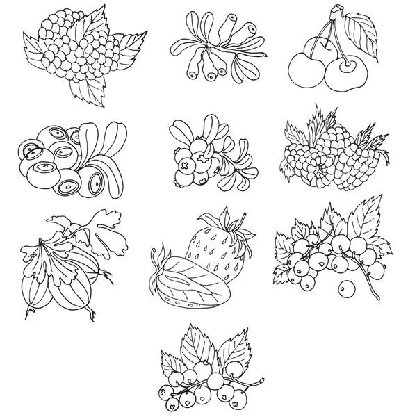 Vektör çizim çilek