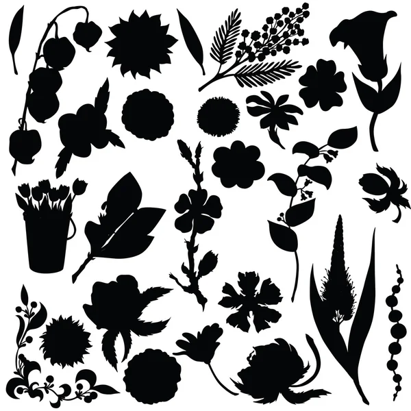Vektorsilhouette aus verschiedenen Blumen — Stockvektor