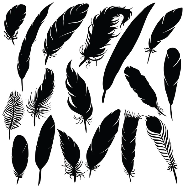 Silueta vectorial de diferentes plumas — Vector de stock