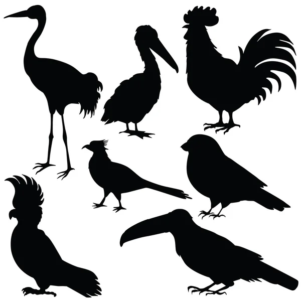 各种鸟类的向量轮廓 — 图库矢量图片