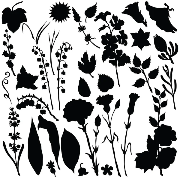 Vektorsilhouette aus verschiedenen Blumen — Stockvektor