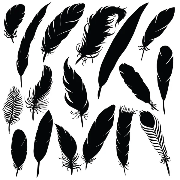 Vector silhouette of different feathers — Stock Vector