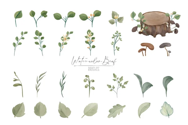 Illustratie Watercolor Leaf Natuurlijke Wild Hand Drawn Set — Stockvector