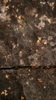 Koyu renkli taş kabartması.