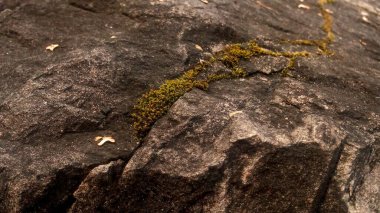 Koyu renkli taş kabartması.