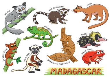 Sevimli hayvanlar çizgi film Madagaskar alanlarda kümesi