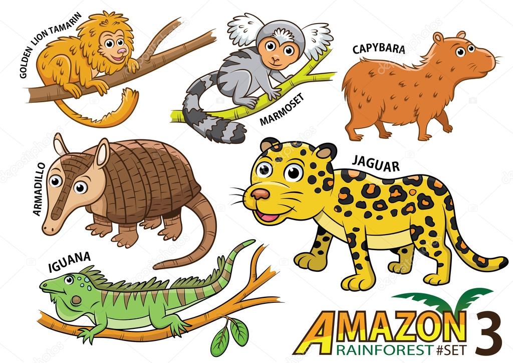 Set of Cute cartoon Animals and birds in the Amazon areas of Sou