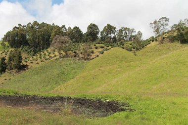 Arkasında yeşil çimenler ve mavi gökyüzü olan dağ