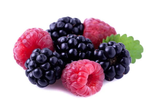 Rijp blackberry en framboos. — Stockfoto