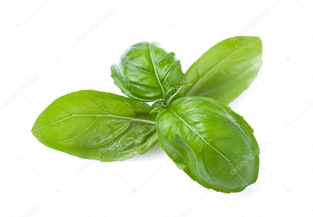 Fresh basil leaves.