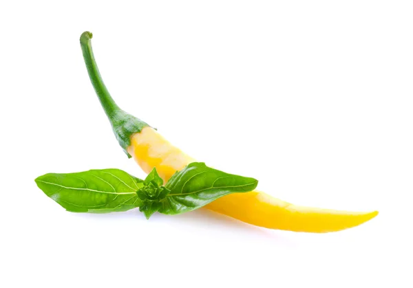 Pepper and basil leaf. — Stock Photo, Image