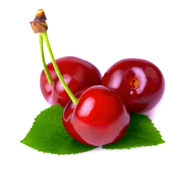 Ripe cherry isolated. — Stock Photo, Image