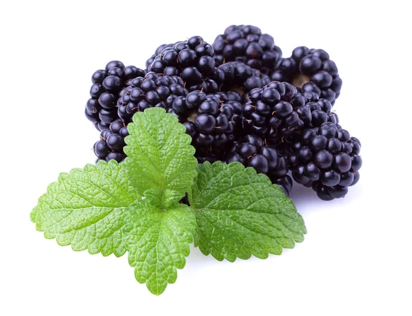 Rijp blackberry met munt. — Stockfoto